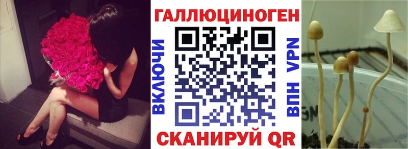 наркотики  Камбарка  Галлюциногенные грибы Cubensis 